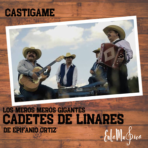 Castígame