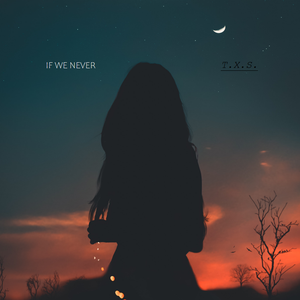 IF WE NEVER