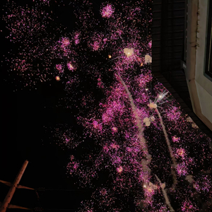 造句（质量热播）