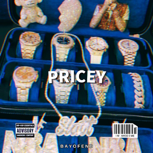 "PRICEY钻石珠宝" 孟菲斯Trap 炫富 街头 Moneybagg yo Type Beat