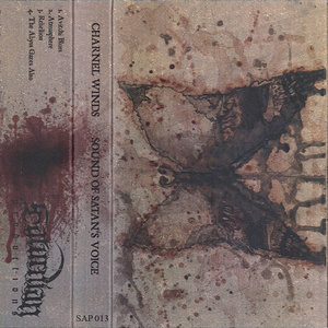 The Abyss Gazes Also