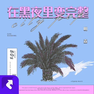 在黑夜里变完整2.0（feat.phase change)