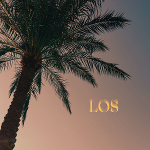 LOS