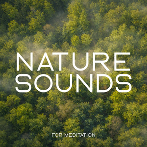 癒しの音色が心地いい高音質睡眠導入BGM 安眠・癒しリラックスのα波音楽