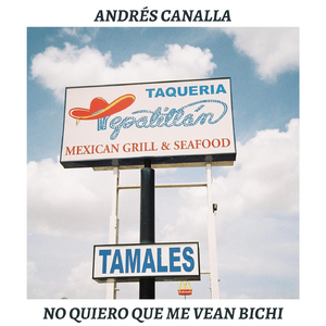 No Quiero Que Me Vean Bichi