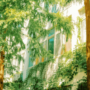 Hypnotic song forgotten