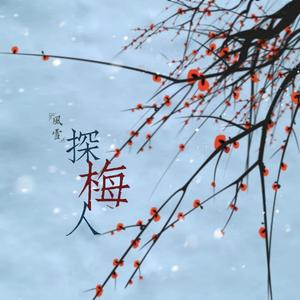 风雪探梅人