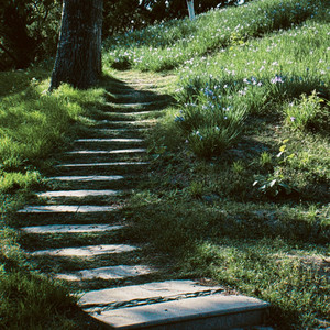 사랑이 늦어서 미안해 (Cover)