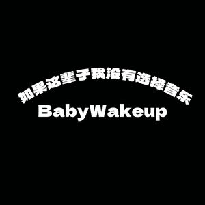 如果这辈子我没有选择音乐