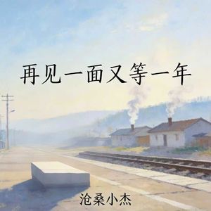 再见一面又等一年