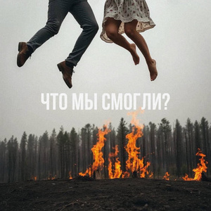 Что мы смогли?