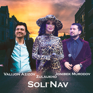 Soli Nav