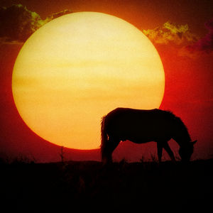 一朝一夕一归期(Reimagined)