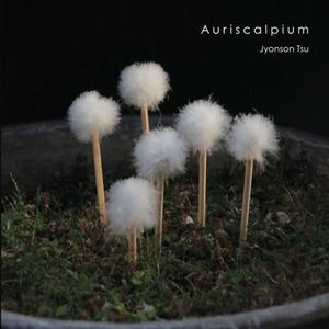 El Borrachito (Folclore)