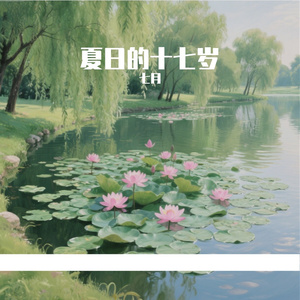 夏日的十七岁