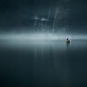 Endless River