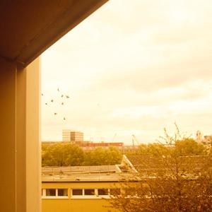 Techtonic (Dub) (Dub)