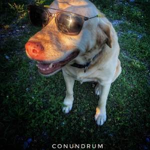 Conundrum