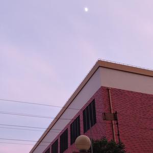 无情画（cover 王唯旖）