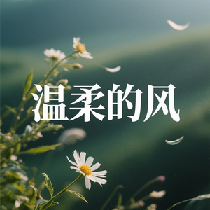 温柔的风