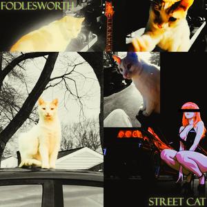 Street Cat