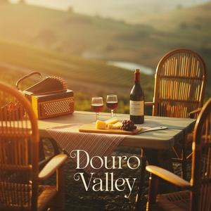 Douro Valley