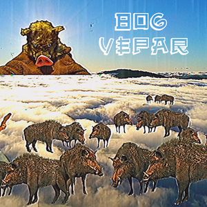 Bog Vepar