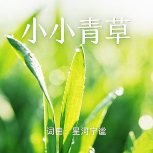 小小青草(改编版)
