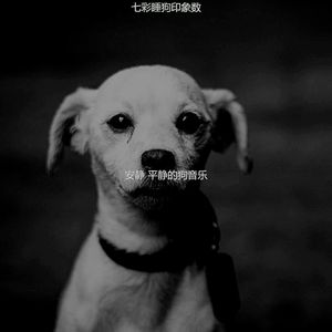 一尘不染小狗印象数