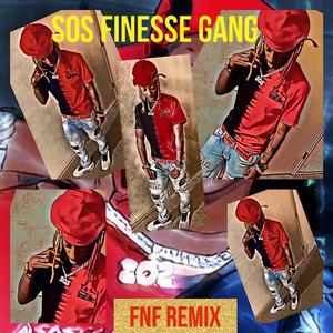 FNF (SOS REMIX)