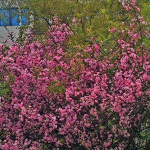 二十岁心动与三十岁月光