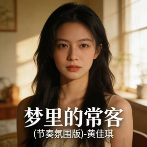 梦里的常客 (烟嗓版)