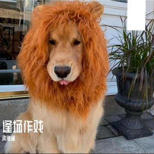 晚风中的思念之弦