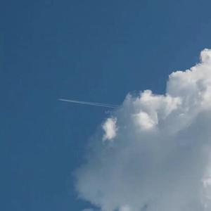 阿尔茨海默的爱