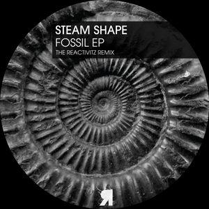 Fossil (The Reactivitz Remix)