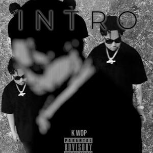 INTRO
