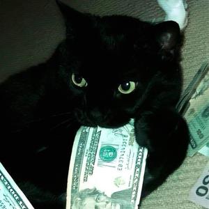 $$$ > U