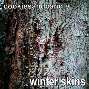 The Process Of Sublimation