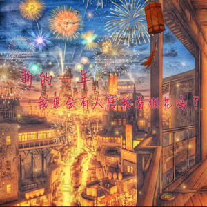 新的一年我想会有人陪我看烟花吗？