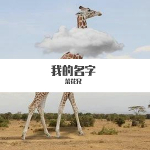 王茗 - 我的名字 (Live)