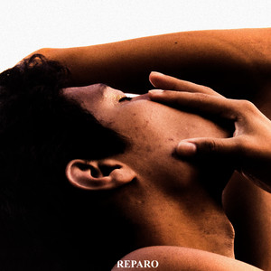 Reparo
