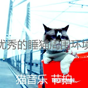 抚慰的小猫回忆