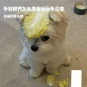 回忆都变得格外甜