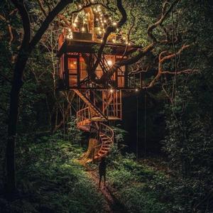 La casa sull'albero