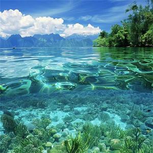 大自然流水声（快速入睡）