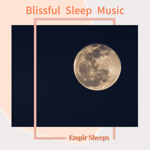 The Mirror of the Night