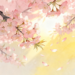 春风若有怜花意