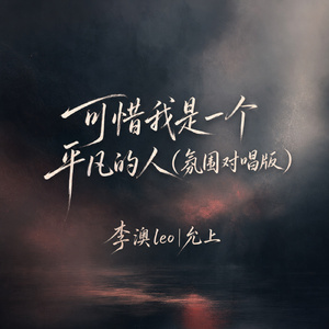 可惜我是一个平凡的人(氛围对唱版)