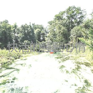 抚慰的睡眠回忆