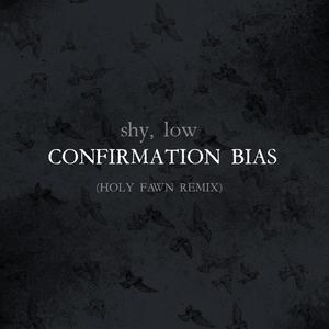 Confirmation Bias (Holy Fawn Remix)